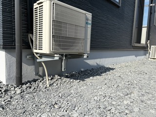 1750403695077.jpg