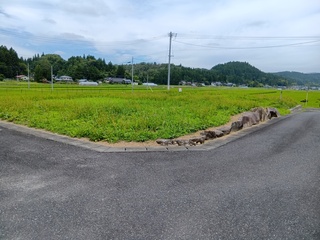 250718113217328.JPG