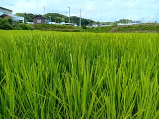 250802091315331.JPG