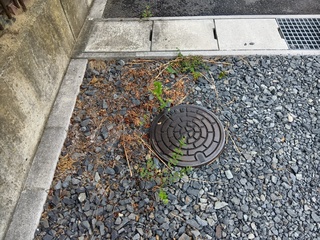 250805094842022.JPG