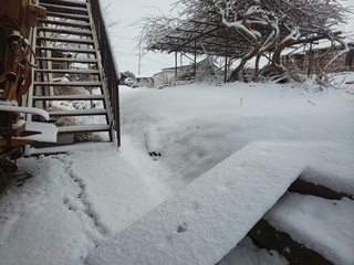DSC_2193.JPG