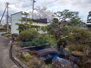 DSC_2706 (002).JPG