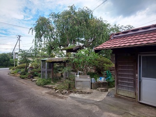 DSC_3080 (002).JPG