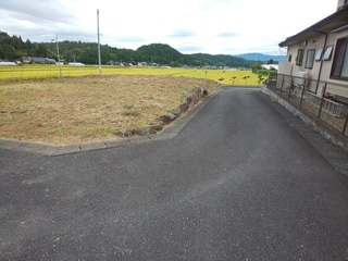 DSC_3300.JPG