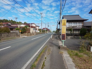 DSC_3483.JPG