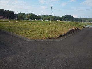DSC_4505.JPG