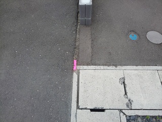 DSC_4614.JPG