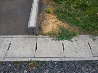 DSC_4616.JPG