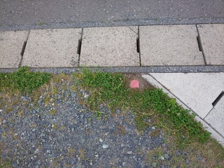 DSC_4619.JPG