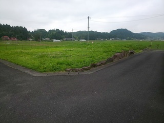 DSC_4784.JPG