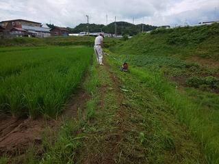 DSC_4912.JPG